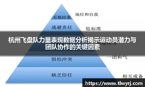 杭州飞盘队力量表现数据分析揭示运动员潜力与团队协作的关键因素